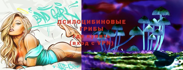 Альфа ПВП Алзамай