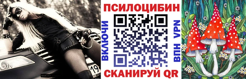 Купить  Адыгейск  Галлюциногенные грибы Psilocybe 